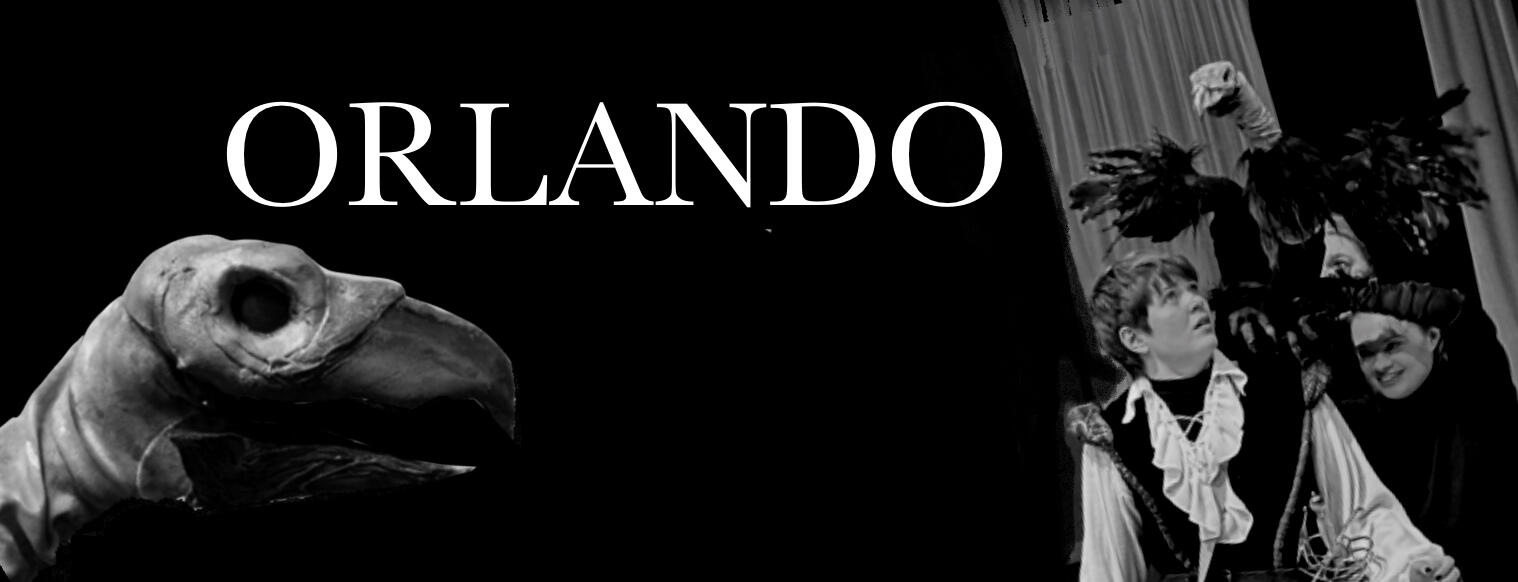 ORLANDO ORLANDO